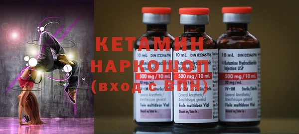 индика Дмитров