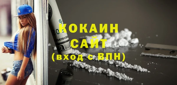 индика Дмитров
