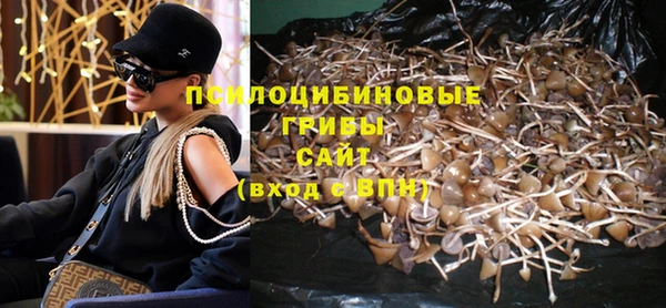 дмт Дмитровск