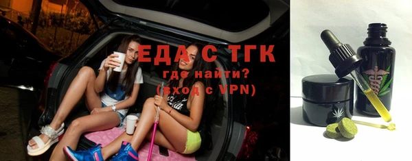 индика Дмитров