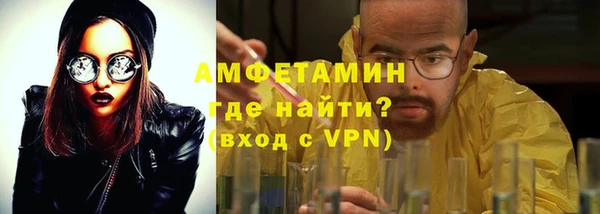 индика Дмитров