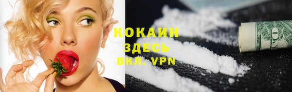 скорость Шали