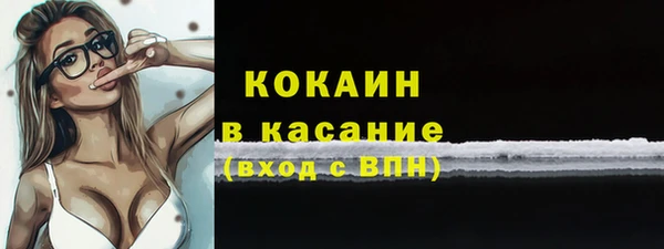 тгк Дмитриев