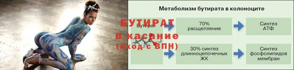 дмт Дмитровск