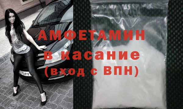 стаф Шадринск