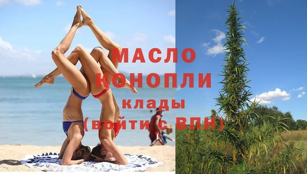 дмт Дмитровск
