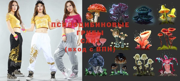 тгк Дмитриев