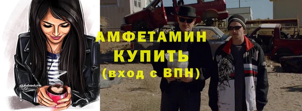 тгк Дмитриев