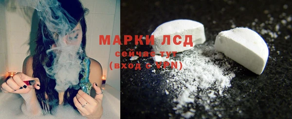 индика Дмитров