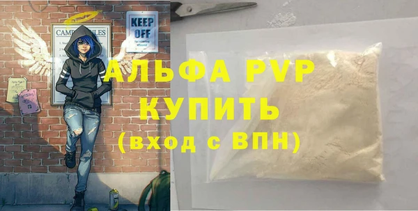 тгк Дмитриев