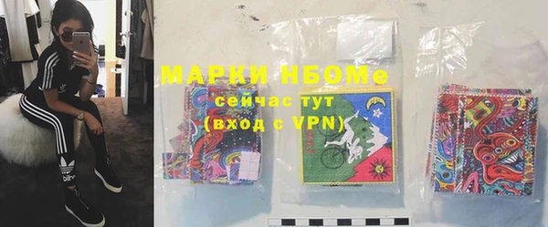 тгк Дмитриев