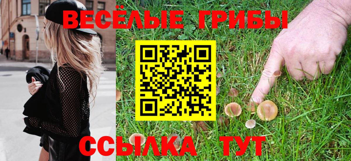 Галлюциногенные грибы MAGIC MUSHROOMS Обь